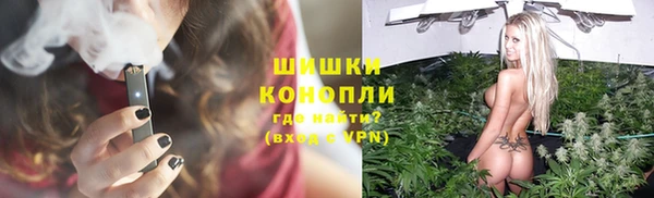 гашик Михайловск