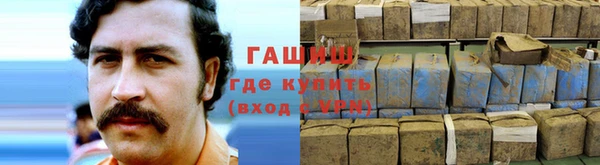 гашик Михайловск