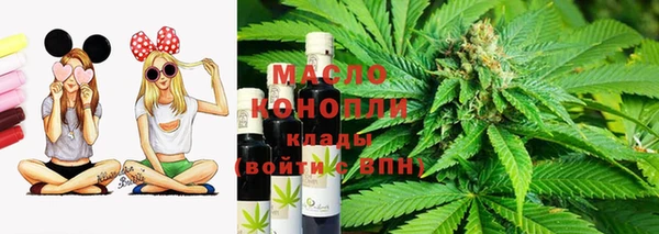 мдпв Михайлов