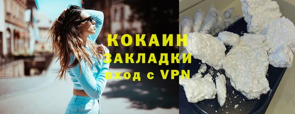 мдпв Михайлов